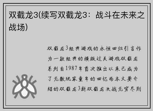 双截龙3(续写双截龙3：战斗在未来之战场)