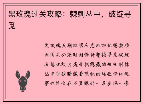 黑玫瑰过关攻略：棘刺丛中，破绽寻觅
